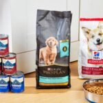 Best Dog Foods: Top Picks for a Healthier Pup